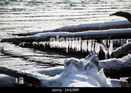 Eiszapfen hängen von log in See Stockfoto