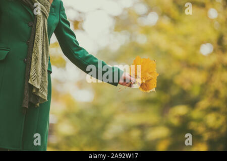 Frau mit Fallen, treibt und im Herbst geniessen, während Sie sich in den Park. Stockfoto