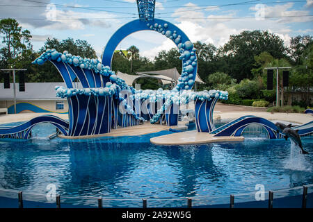 Orlando, Florida. November 06, 2019. Delphine springen in Seaworld Stockfoto