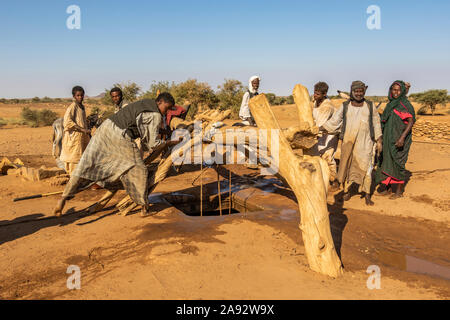 Nomaden und ihre Tiere bekommen Wasser aus dem alten Wasserbrunnen aus dem Jahre 1905; Naqa, Nordstaat, Sudan Stockfoto