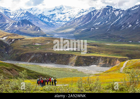 Ein Park Ranger führt eine Tour der Besucher auf einer Naturwanderung in der Nähe des Eielson Visitor Centre, Denali National Park und Preserve, Interior Alaska Stockfoto