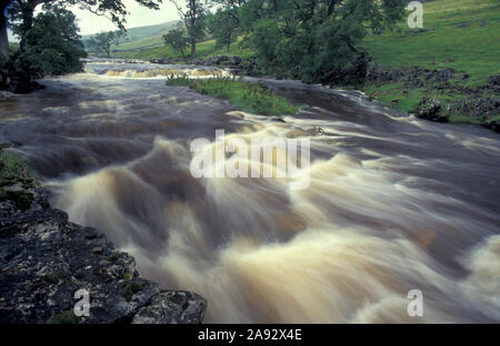 River Wharf in der Nähe von Bolton Abbey, Wharfedale, Yorkshire Dales, England Stockfoto