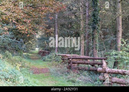 Zig Zag Zaun entlang der Kante der Wald neben einem öffentlichen Fußweg Stockfoto