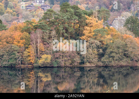 Insel in Grasmere Grasmere Lake - Nahaufnahme von Herbst Laub mit Reflexionen in den See. Stockfoto