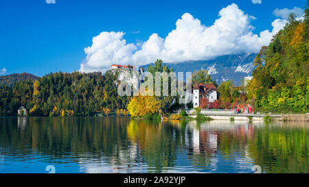 Die Burg von Bled, spiegelt sich in der See von Bled, Slowenien, Europa. Stockfoto