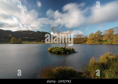 Einsamer Baum in Rydal Wasser im Lake District National Park Stockfoto