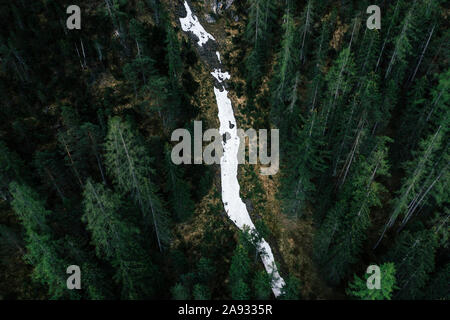 Fluss im Wald Stockfoto