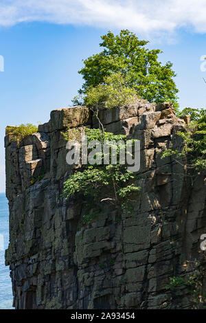 Helligdomsklipperne, Steilküste, Felsen, Klippen, Bornholm, Ostsee, Daenemark Stockfoto