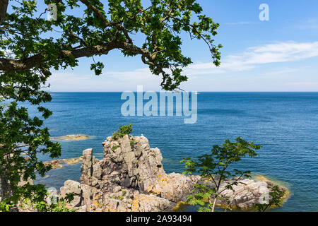 Helligdomsklipperne, Steilküste, Felsen, Klippen, Bornholm, Ostsee, Daenemark Stockfoto