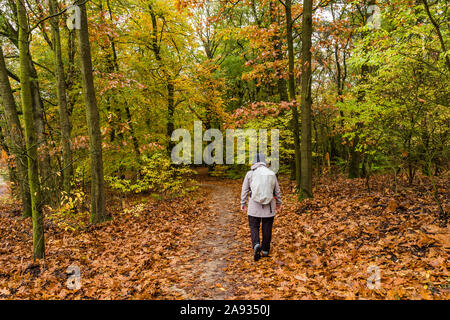 Ältere Frauen zu Fuß durch die schöne Herbstfarben im Wald Stockfoto