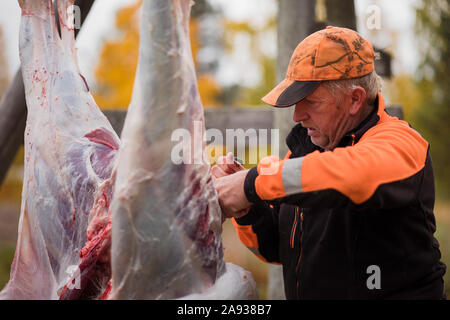 Mann Vorbereitung toten Tier Stockfoto