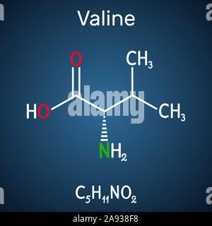 Valin, Val Molekül, ist-Aminosäure. Es ist an der Biosynthese von Proteinen verwendet. Strukturelle chemische Formel auf dem dunkelblauen Hintergrund. Vektor krank Stock Vektor