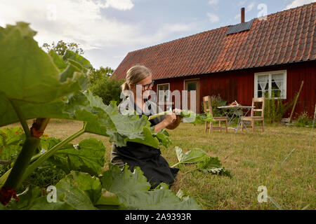 Frau im Garten Stockfoto