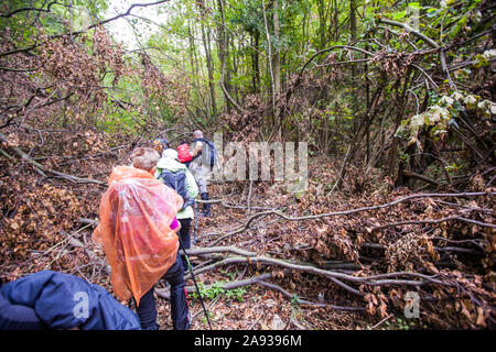 Gruppe aktiver Menschen wandern auf den regnerischen Herbst Tag tragen Sie eine Regenjacke. Wirkliche unkenntlich Wanderer, Rückspiegel, bewölkter Himmel im Hintergrund. Stockfoto