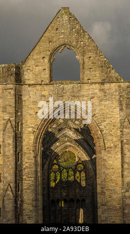 Der Südgang von außerhalb der Tintern Abbey in Tintern im Wye Valley AONB in Südwales mit spätnachmittäglicher Sonne und dunklen stürmischen Wolken. Stockfoto