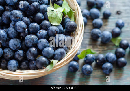 Blaubeeren mit Blaubeeren Blätter in die hölzerne Schüssel auf dem Tisch. Stockfoto