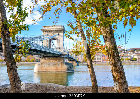 Erstaunlich Széchenyi Kettenbrücke über die Donau in Budapest, Ungarn mit Herbst Bäume am Ufer. Kette Brücke zwischen Buda und Pest. Touristische Sehenswürdigkeiten. Die ungarische Hauptstadt. Stockfoto