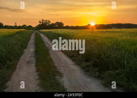 Die untergehende Sonne hinter dem Horizont, grüne Felder und Landstraße. Nowiny, Polen Stockfoto