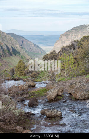 Stream zu Blitzen plung in die kleine Schlucht, Steens Mountain, Oregon. Stockfoto