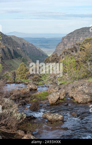 Stream zu Blitzen plung in die kleine Schlucht, Steens Mountain, Oregon. Stockfoto