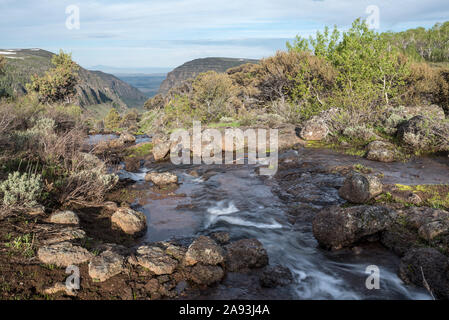 Stream zu Blitzen plung in die kleine Schlucht, Steens Mountain, Oregon. Stockfoto