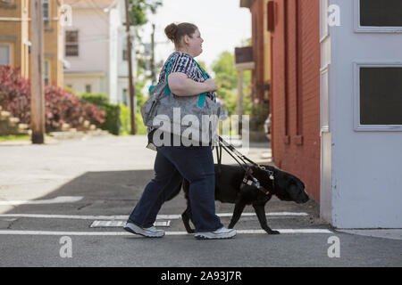 Frau mit Sehbehinderung, die mit ihrem Service die Straße überquert Hund Stockfoto