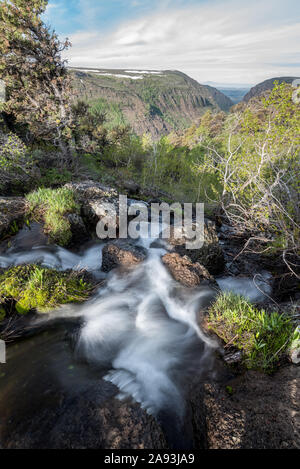 Stream zu Blitzen plung in die kleine Schlucht, Steens Mountain, Oregon. Stockfoto