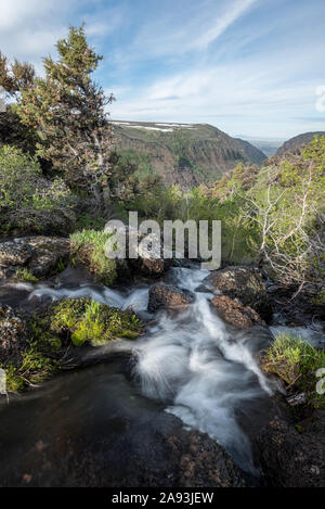 Stream zu Blitzen plung in die kleine Schlucht, Steens Mountain, Oregon. Stockfoto