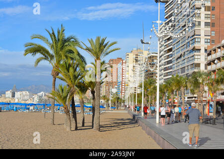 Strandpromenade, Strand Playa Levante, am frühen Morgen, mit Wolkenkratzern, Menschen und Palmen, Benidorm, Alicante, Spanien Stockfoto