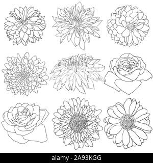 Schöne monochrom Skizze, schwarze und weiße Blume isoliert. Stockfoto