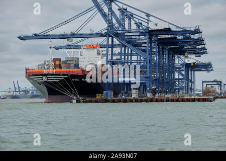 Riesige Containerschiff MSC Maya angedockt am Hafen von Felixstowe mit contianer Entladen in Bearbeitung Stockfoto