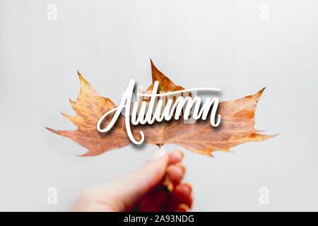 Große Herbst Blatt in der Mädchen Hand mit weißem Hintergrund und dekorative text Herbst Stockfoto