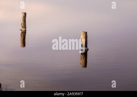 Beiträge im Wasser stehen, Wolken im Wasser widerspiegelt Stockfoto