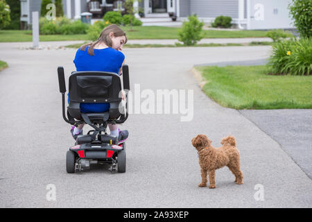 Junge Frau mit Zerebralparese spielt mit ihrem Hund während Sitzt auf ihrem Roller Stockfoto