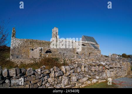 Ruine einer Abtei in Irland Stockfoto