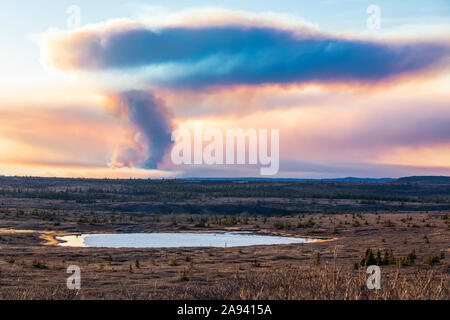 Eine Rauchwolke aus dem Waldbrand der Oregon Lakes steigt hoch in den Himmel in der Nähe von Delta Junction im Jahr 2019; Alaska, Vereinigte Staaten von Amerika Stockfoto