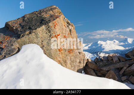 Sonne scheint auf einem Flechtenfleckigen Felsbrocken hoch in der Alaska Range im Frühsommer; Alaska, Vereinigte Staaten von Amerika Stockfoto