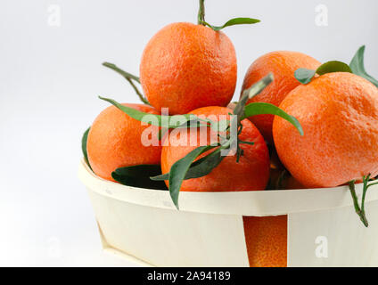 Besonders süß und saftig spanische Clementinen mit Blättern in einem Korb. Auf weiß isoliert. Stockfoto