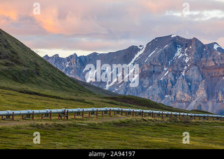 Die Trans-Alaska Pipeline erstreckt sich über die Tundra unter den zerklüfteten Bergen der Brooks Range; Alaska, USA Stockfoto