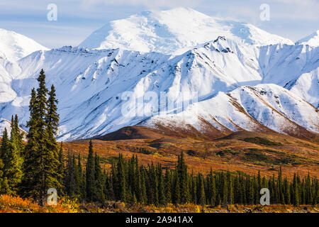 Frischer Schnee bedeckt die Berge im Herbst im Denali National Park und Preserve; Alaska, Vereinigte Staaten von Amerika Stockfoto