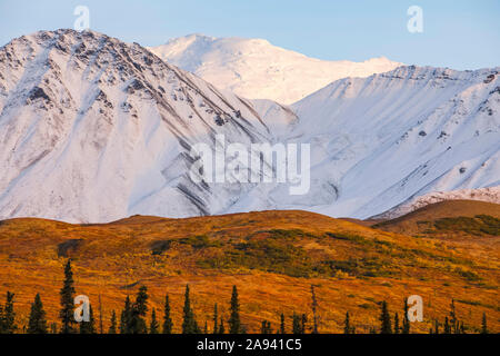 Frischer Schnee bedeckt die Berge im Herbst im Denali National Park und Preserve; Alaska, Vereinigte Staaten von Amerika Stockfoto