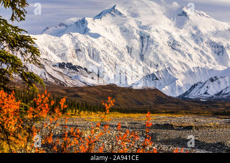 Denali erstrahlt im Herbst über dem Muddy River, vom Peters Glacier aus gesehen (rechts im Tal sichtbar) im Hinterland von Denali National P... Stockfoto