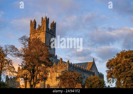 St. Mary's Cathedral, Limerick, Irland, Stockfoto