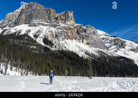 Weibliche Wanderin auf schneebedecktem Feld mit schneebedeckten Bergen und blauem Himmel im Hintergrund; Feld, British Columbia, Kanada Stockfoto