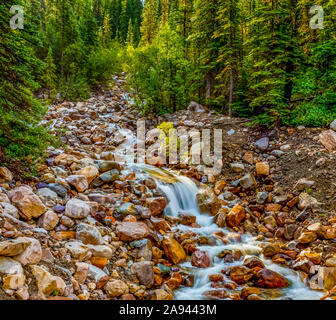 Bach fließt über Felsen in einem Wald; Alberta, Kanada Stockfoto