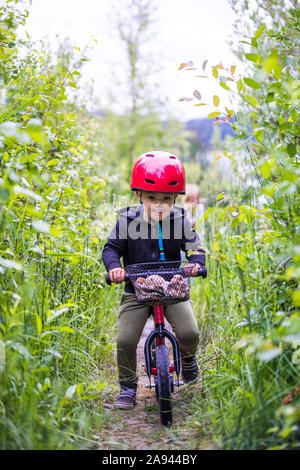 Kleinkind junge Reiter Balance mit dem Fahrrad durch den Wald. Stockfoto