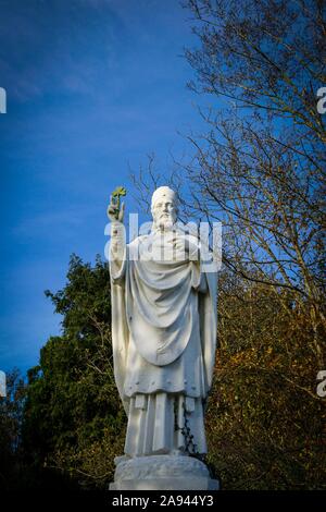 St. Patrick mit Klee, Limerick, Irland, Stockfoto