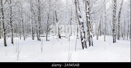 Großes Mehrstich-Panorama der Cascades und des Okanagan Valley im Herbst mit Frühschnee; British Columbia, Kanada Stockfoto