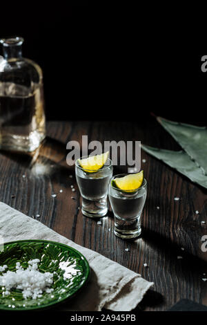 Tequila bum bum Schüsse, mit Kalk und Salz. Agave Blätter für den Hintergrund. Stockfoto