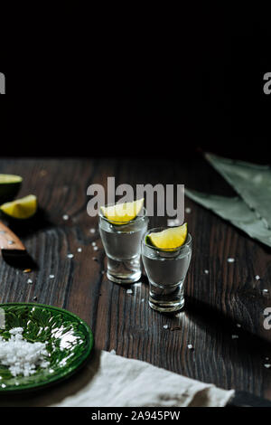 Tequila bum bum Schüsse, mit Kalk und Salz. Agave Blätter für den Hintergrund. Stockfoto